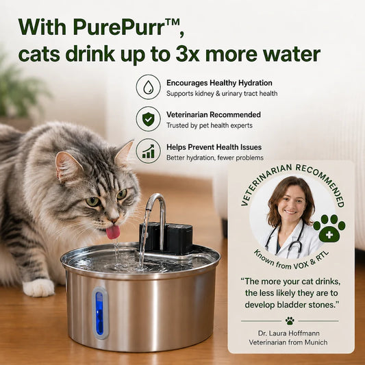 PurePurr™ 3.2L Cordless Cat Water Fountain with Motion Sensor