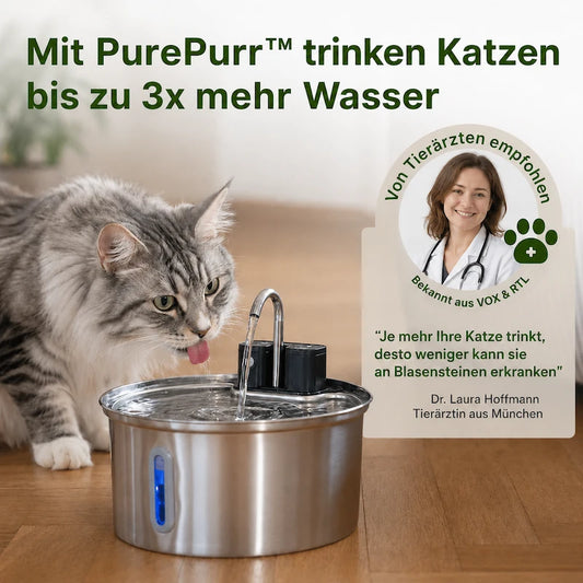 PurePurr™ 3,2L Kabelloser Katzenbrunnen mit Bewegungssensor