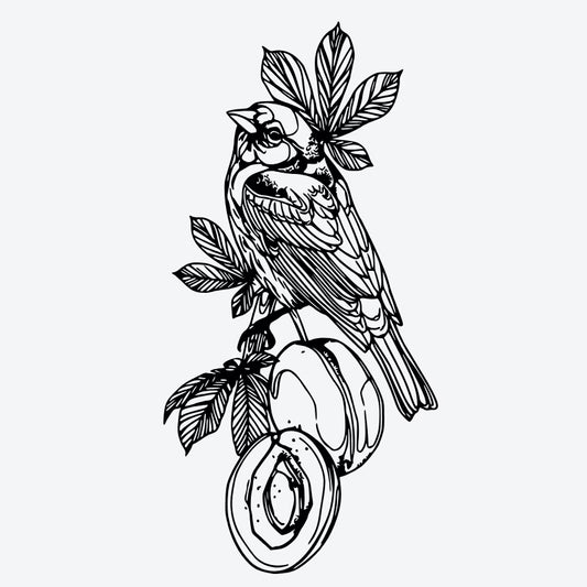 Bird And Fruit Tattoo