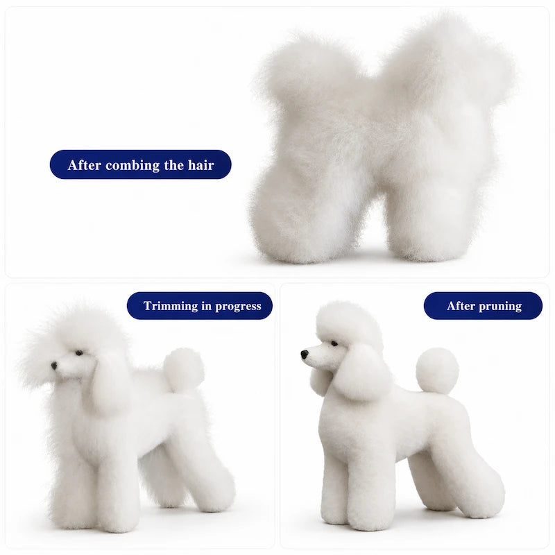 Toy Poodle Model Dog with High-Density Wig Value Pack