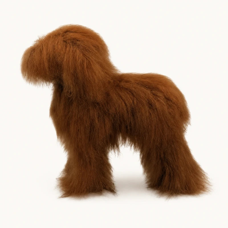 Toy Poodle Model Dog with High-Density Wig Value Pack