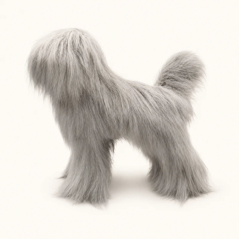 Toy Poodle Model Dog with High-Density Wig Value Pack