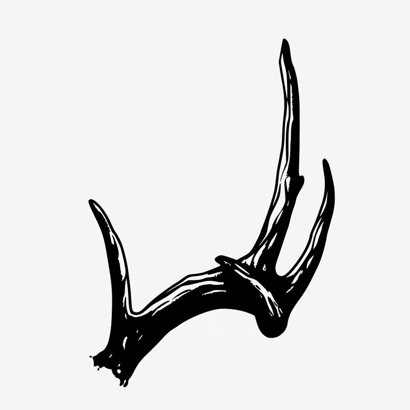 Antler Design Tattoo