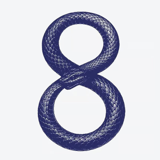 Snake Infinity Tattoo