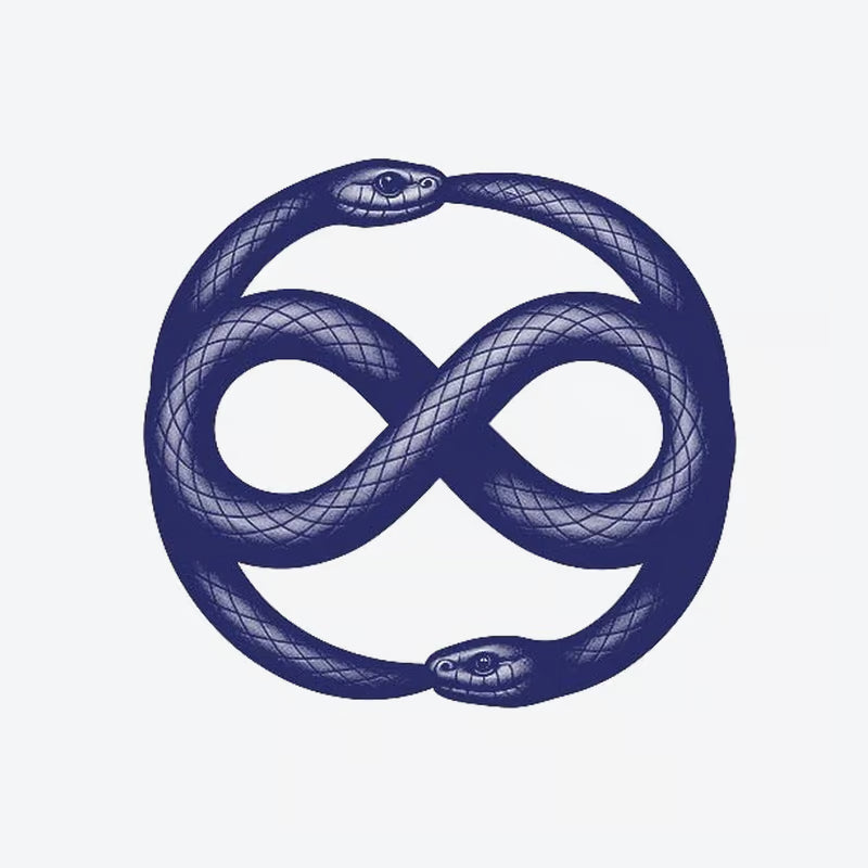 Snake Infinity Tattoo