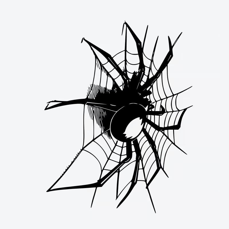 Spider Web Tattoo
