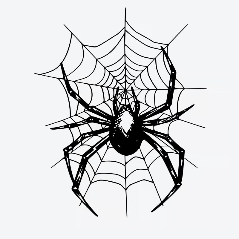 Spider Web Tattoo