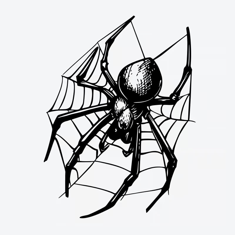 Spider Web Tattoo