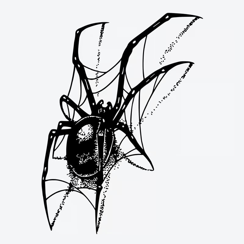 Spider Web Tattoo