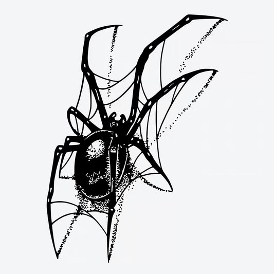 Spider Web Tattoo