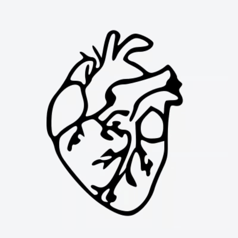 Anatomical Heart Outline Tattoo