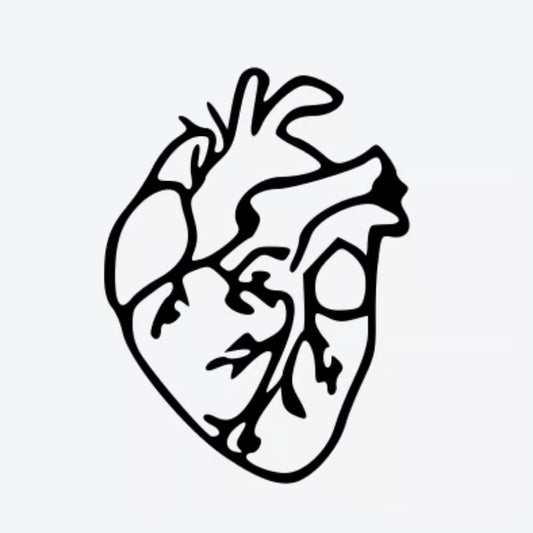 Anatomical Heart Outline Tattoo