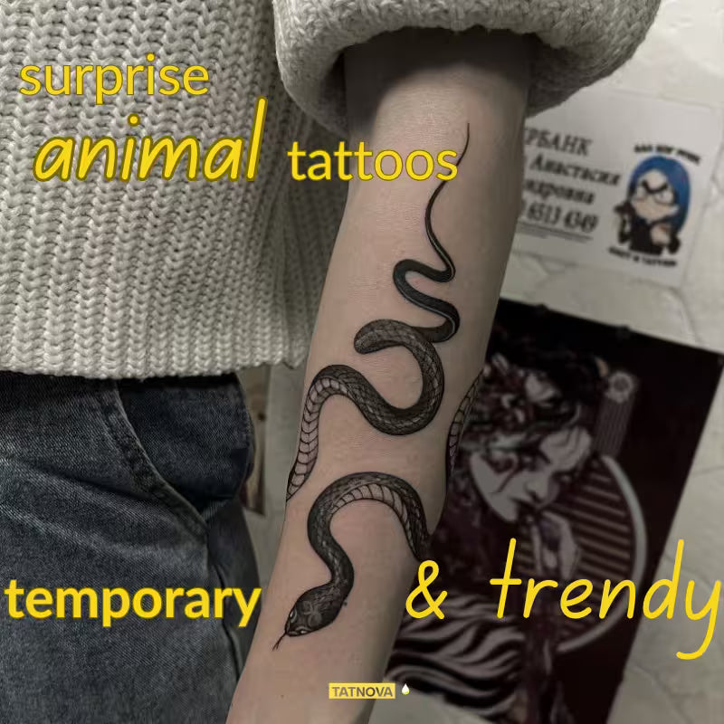 Tatnova Mystery Pack